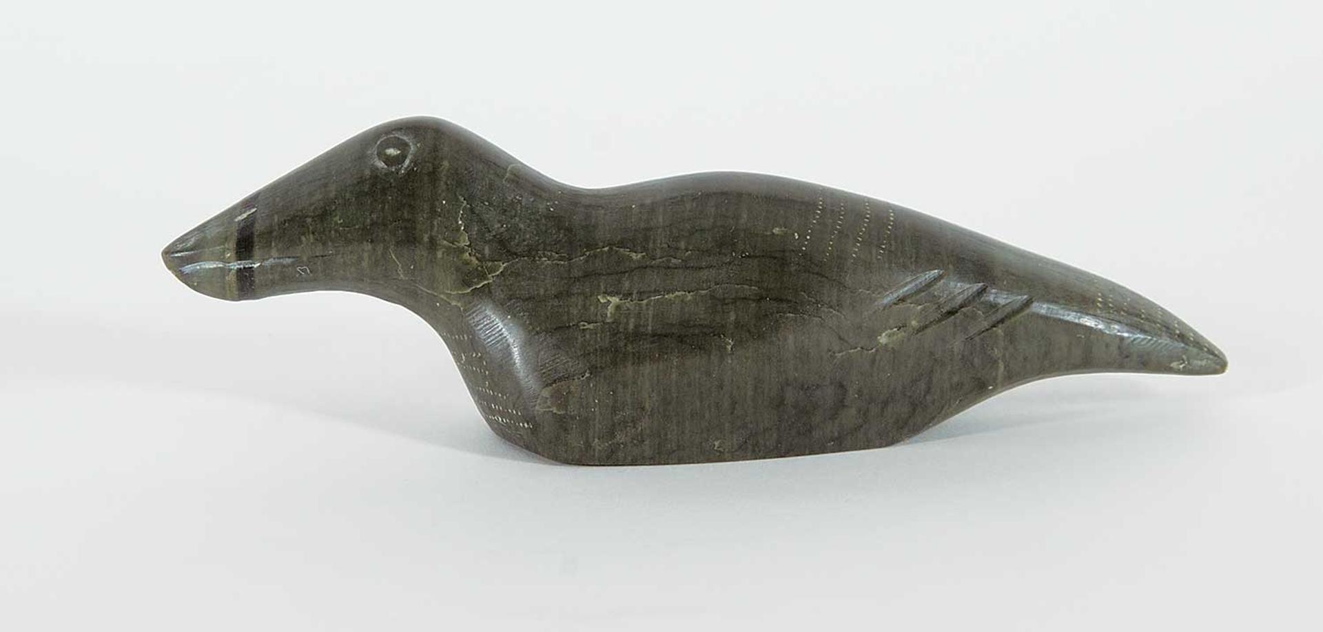 Suasi Suliapu - Untitled - Bird