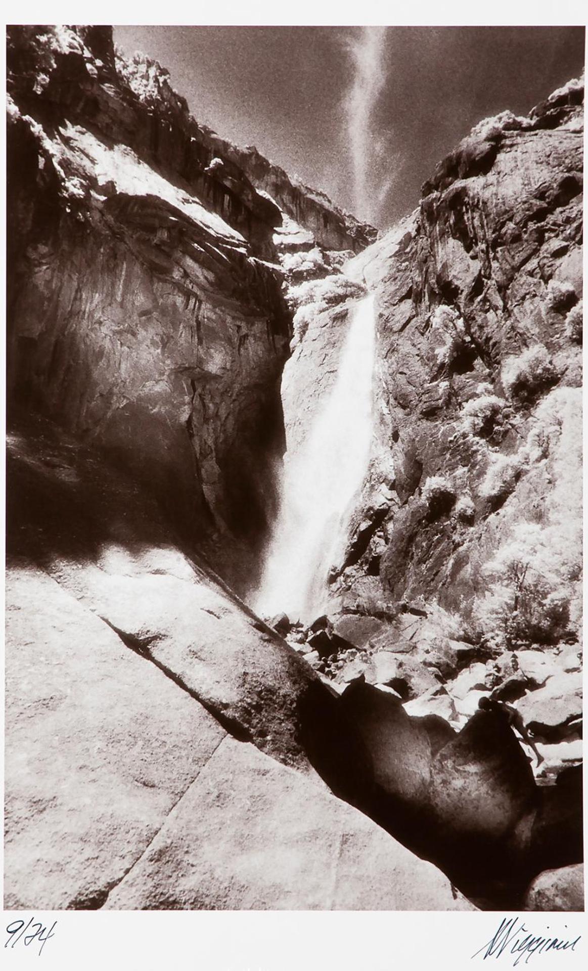 Anthony Viggiani - Trickle Down H2O