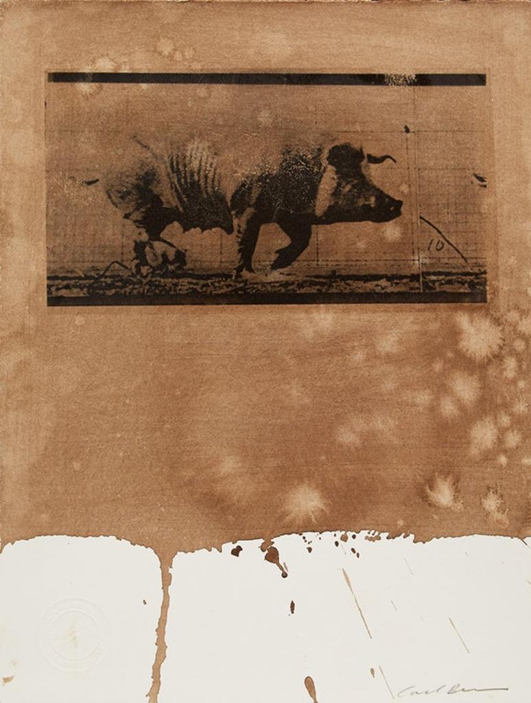 Carl Beam (1943-2005) - Untitled (Pig)