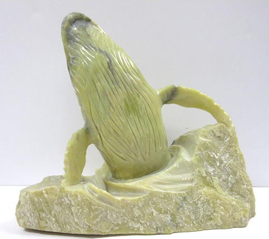 Ntn - Humpback Whale