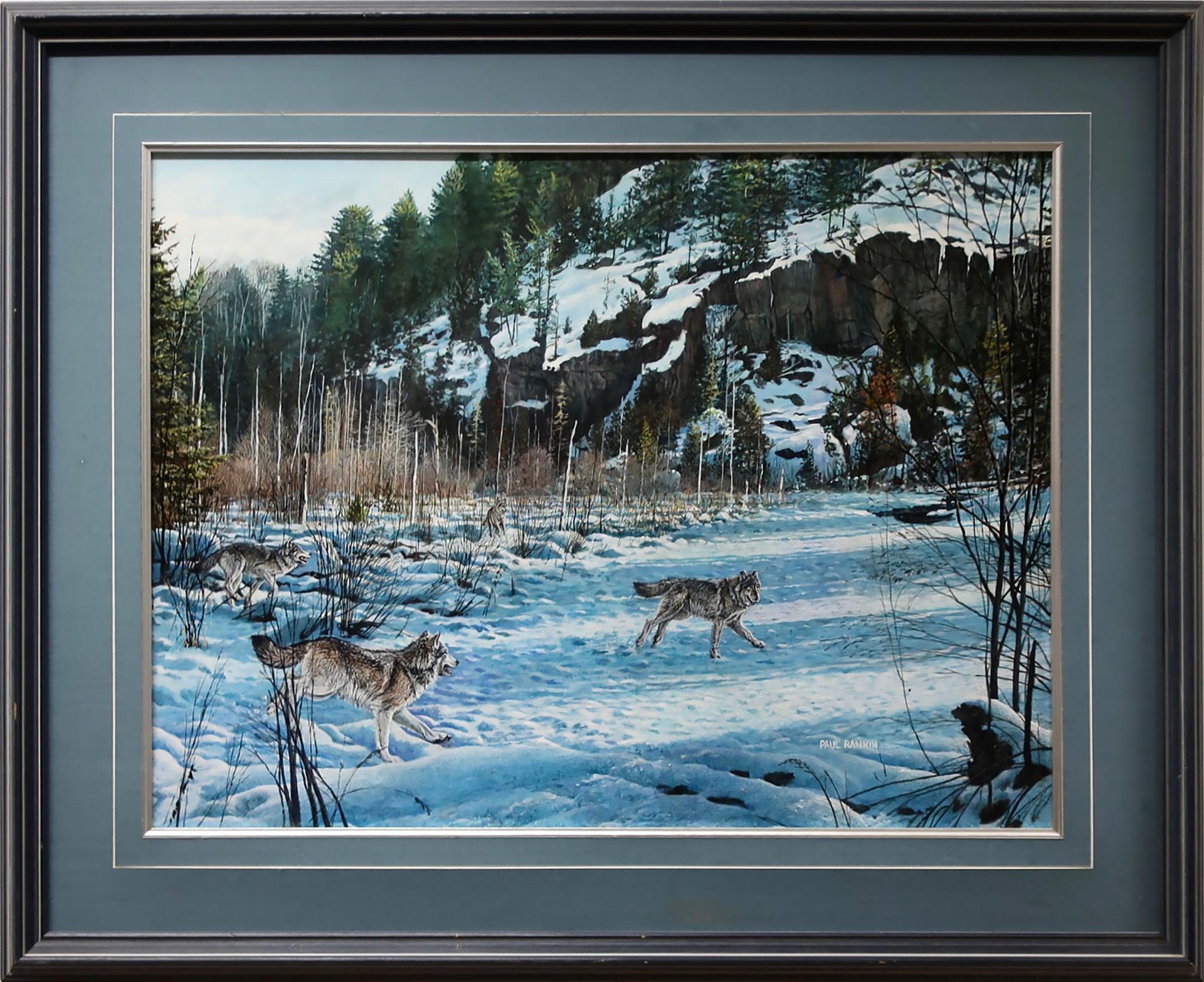 Paul Rankin (1967) - Untitled (On The Prowl)
