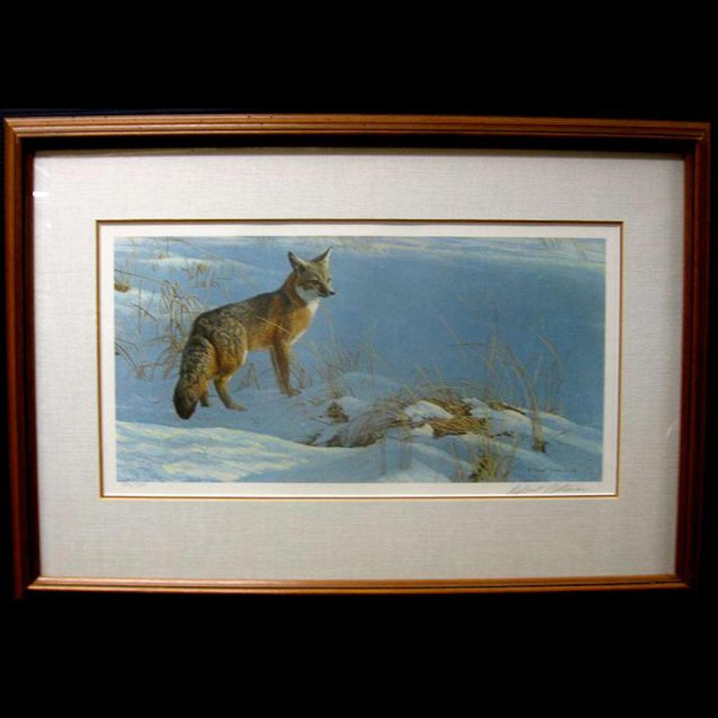 Robert Mclellan Bateman (1930-1922) - Swift Fox