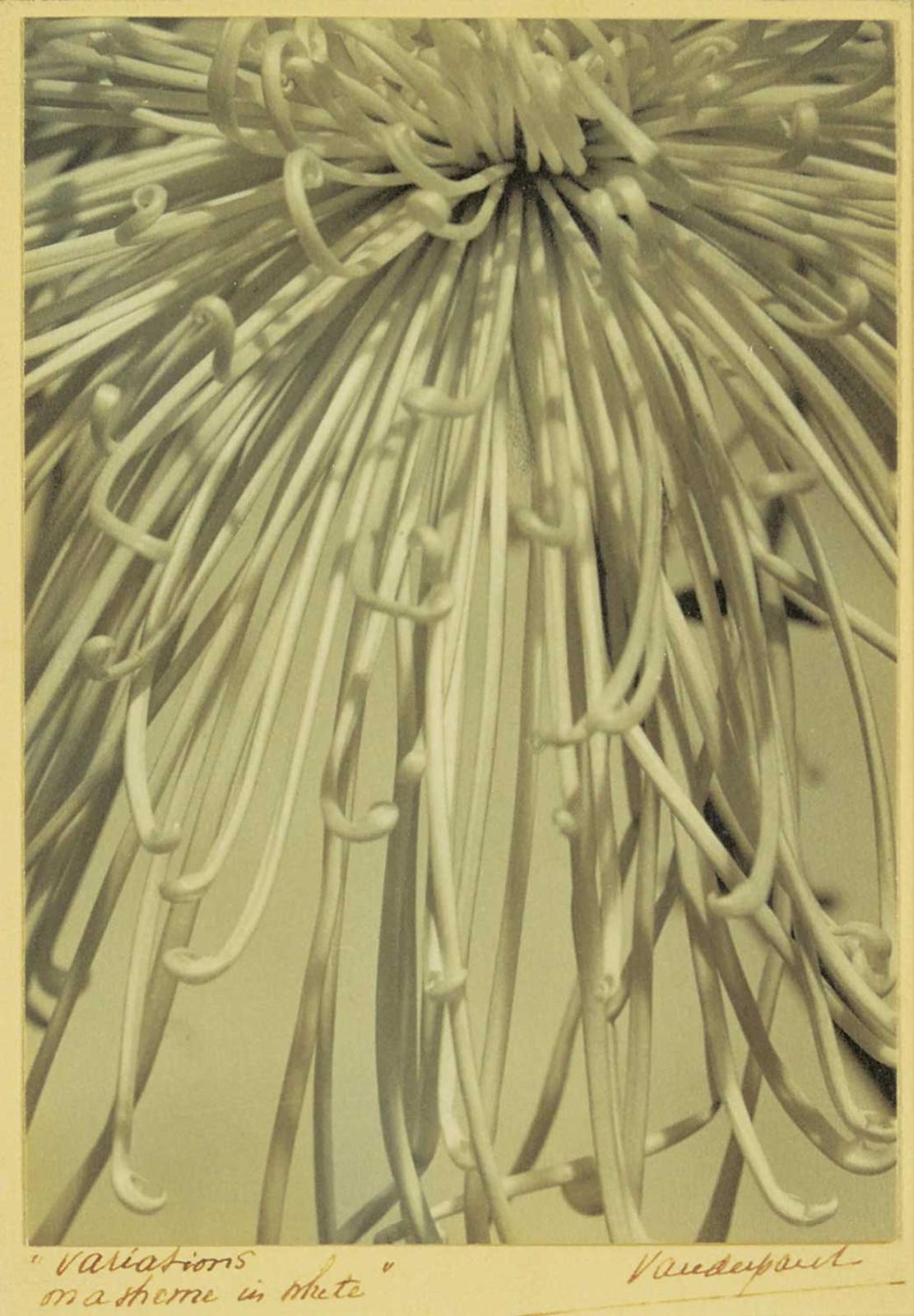 John A. Vanderpant (1884-1939) - Variations on a Theme in White