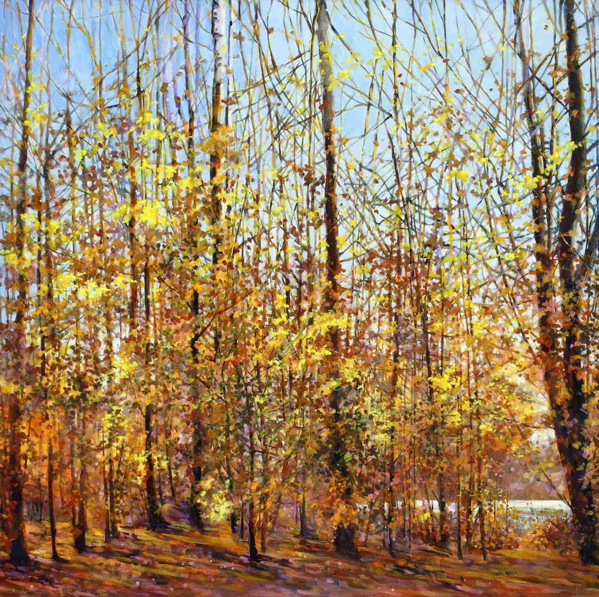 Bev Rodin - Fall Greeting (Forest Light Series); 2014