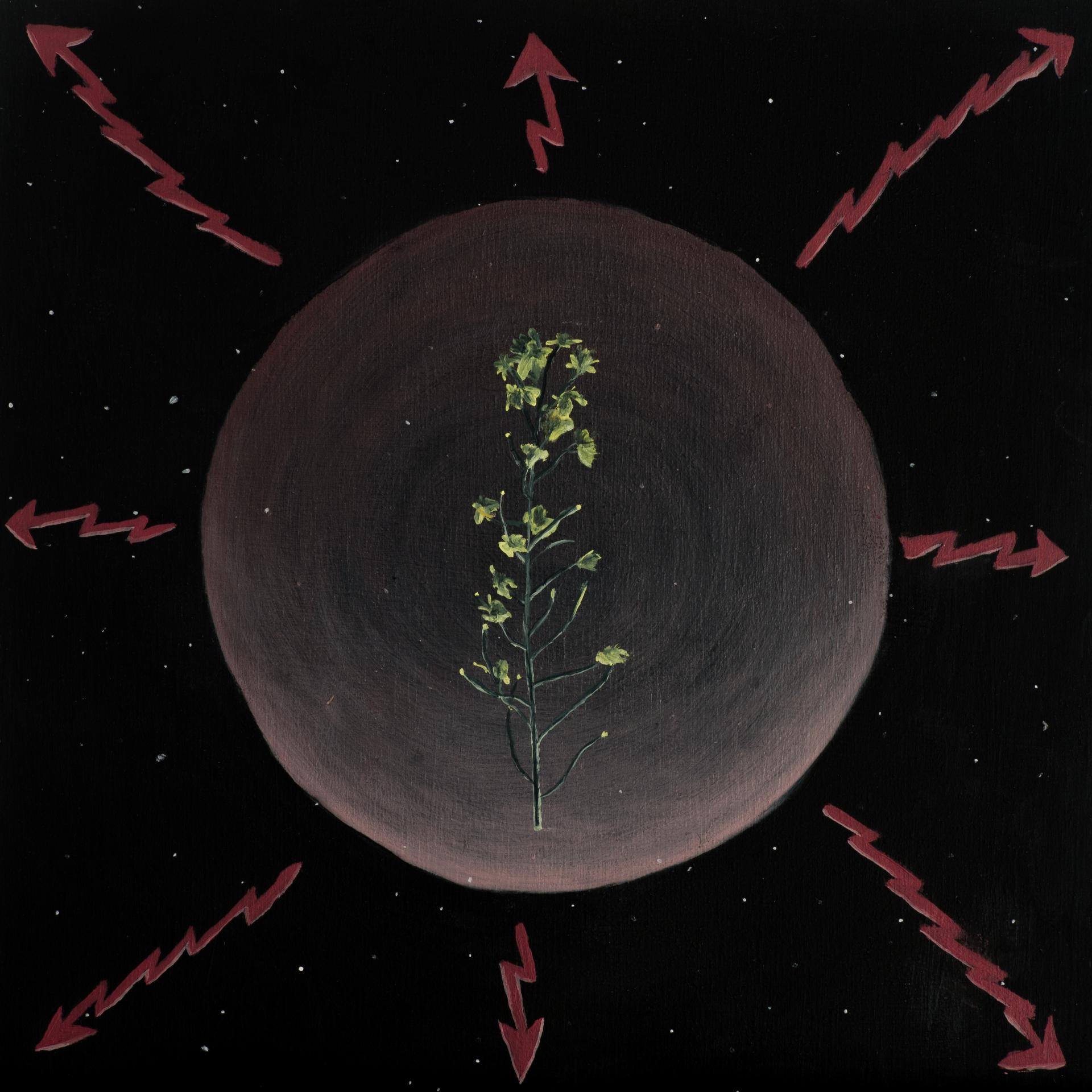 Alex Coma - The foundation, 2019
