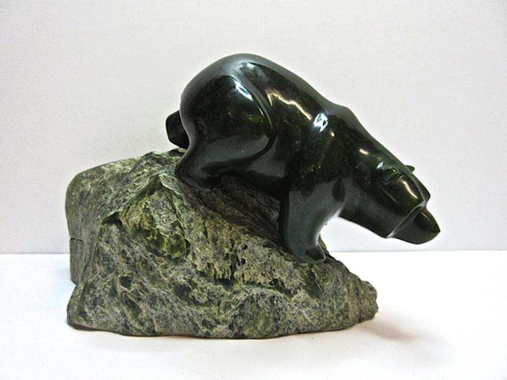 Tony Wu - Grizzly Bear Descending Down Cliff