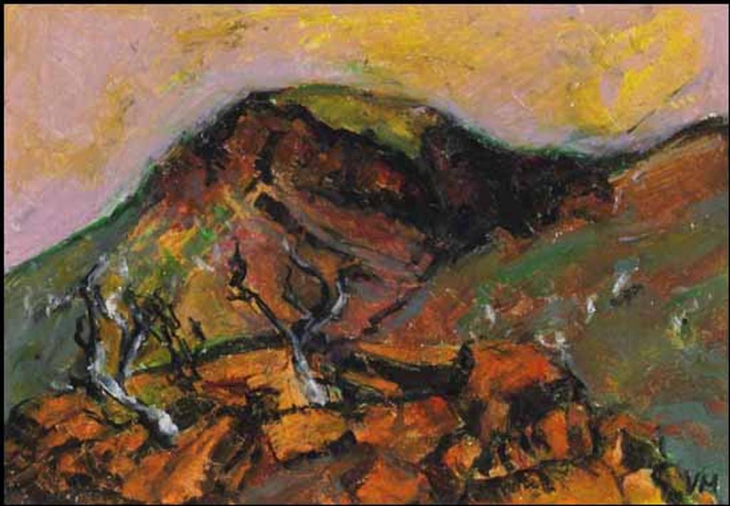 Vicky Marshall (1952) - The Hammersley Range