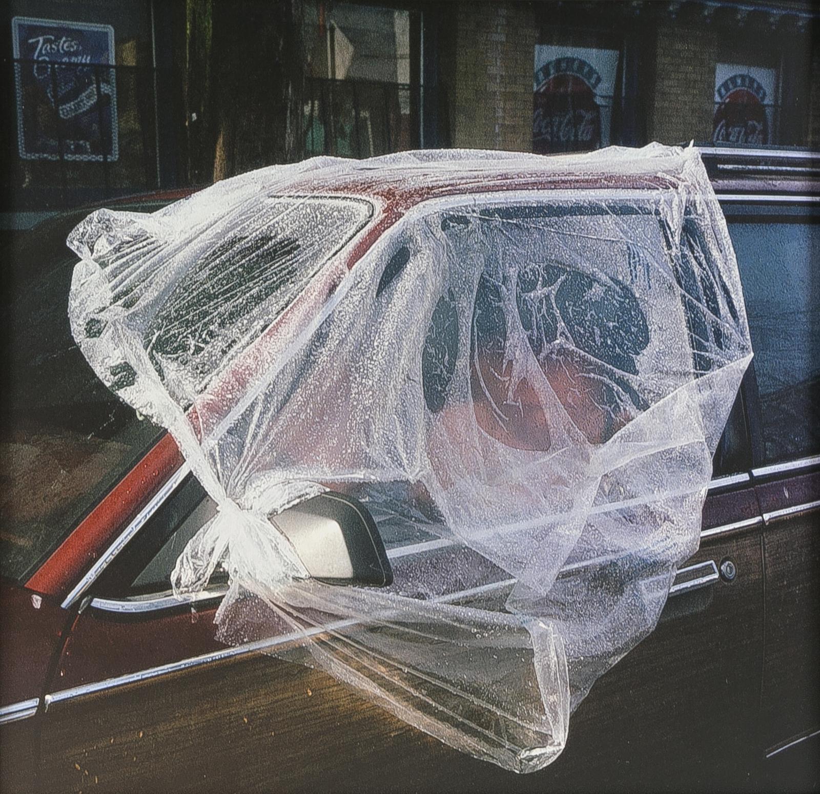 Adam Harrison (1983) - Covered Window