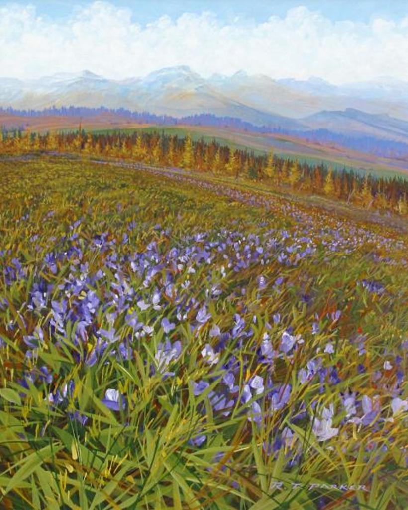 Randolph T. Parker (1954) - Rising Cumulus; 1997