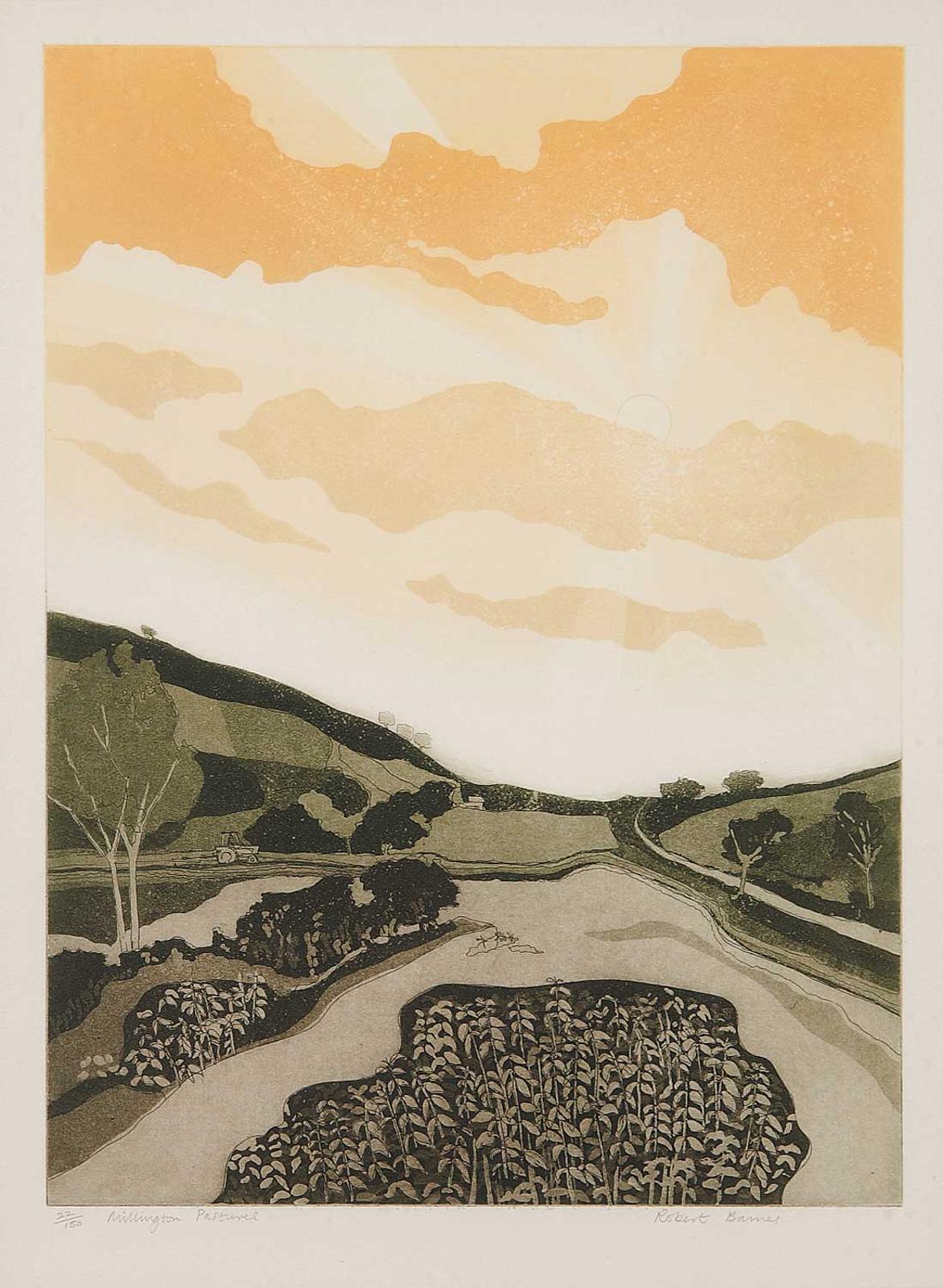 Robert Barnes - Millington Pastures #22/150