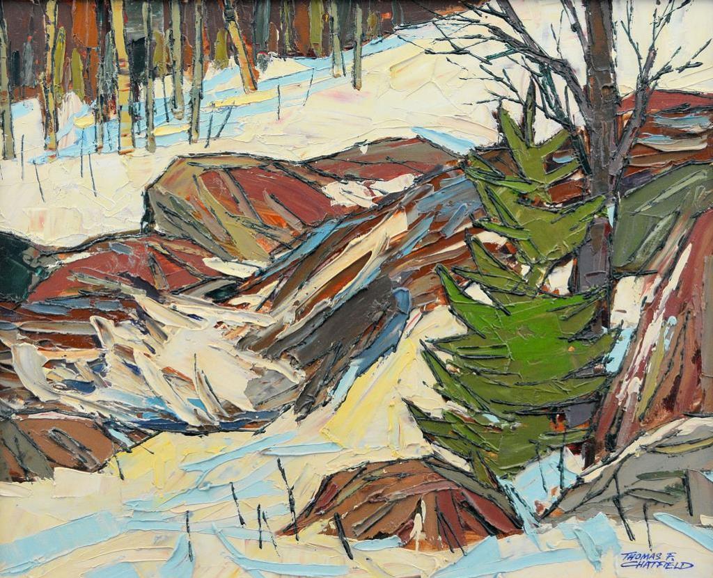 Thomas Frederick Haig Chatfield (1921-1999) - Winter Waterfall