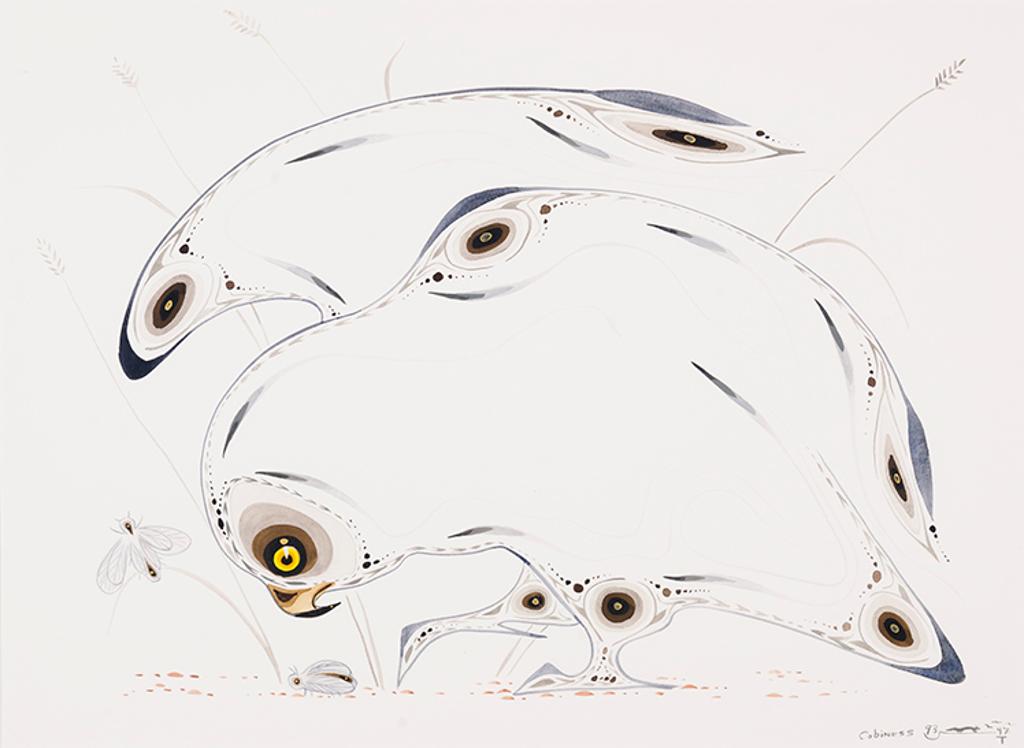 Eddy Cobiness (1933-1996) - Owl