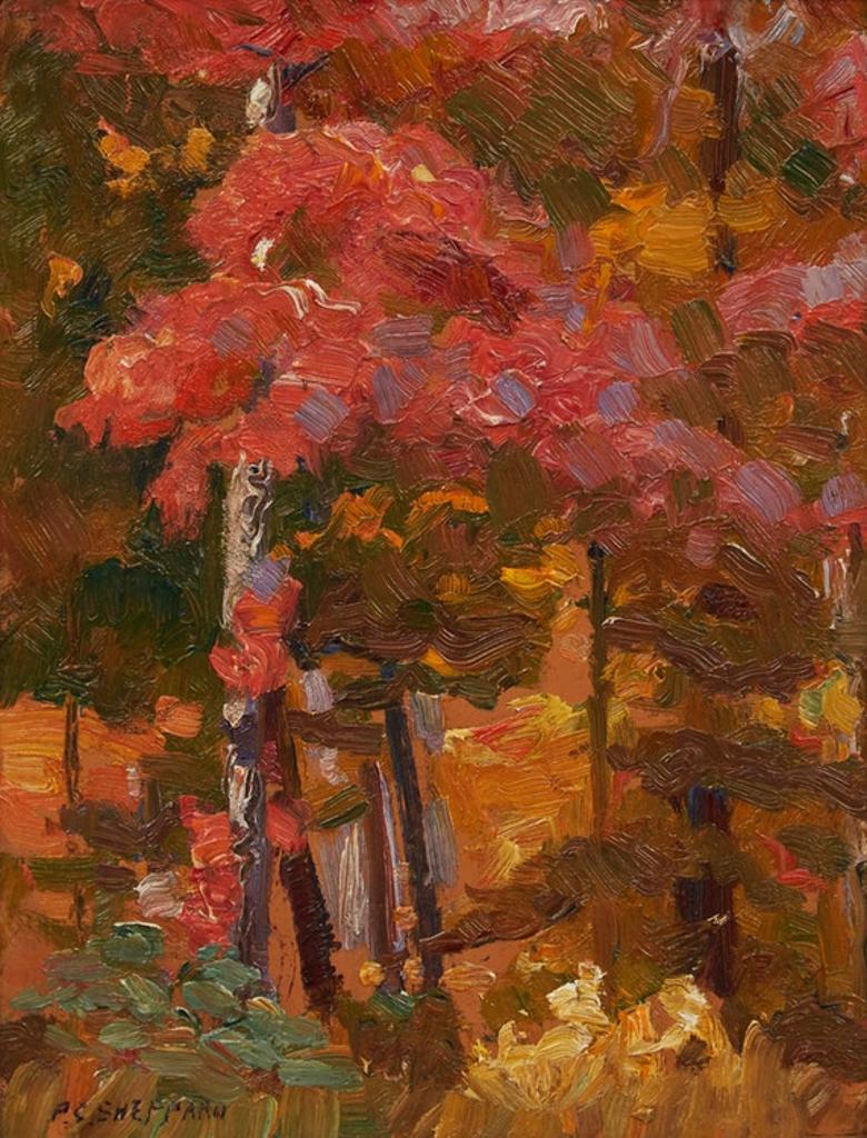 Peter Clapham (P.C.) Sheppard (1882-1965) - Forest Interior