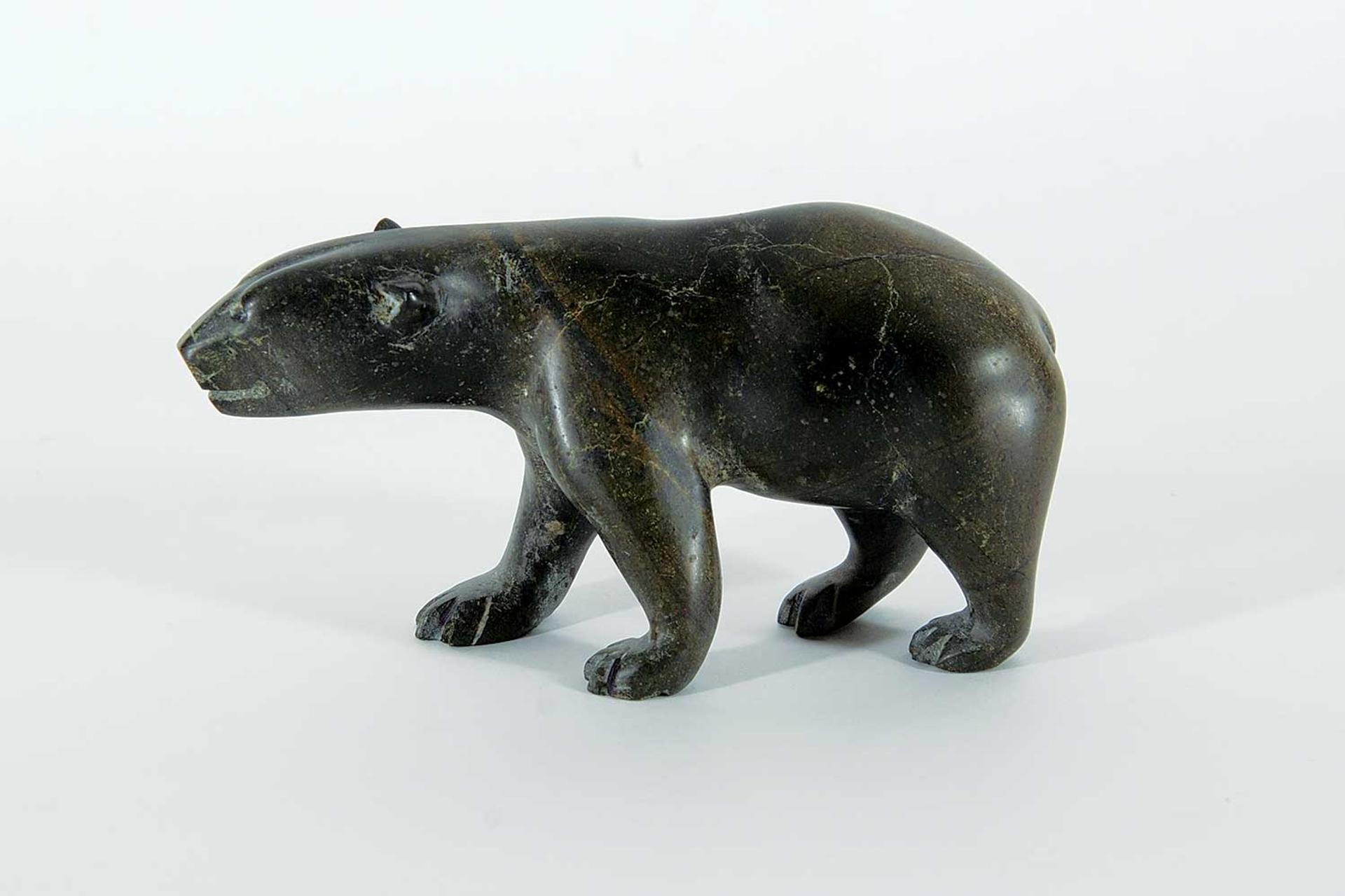 Pauloosie Takoon - Untitled - Walking Bear
