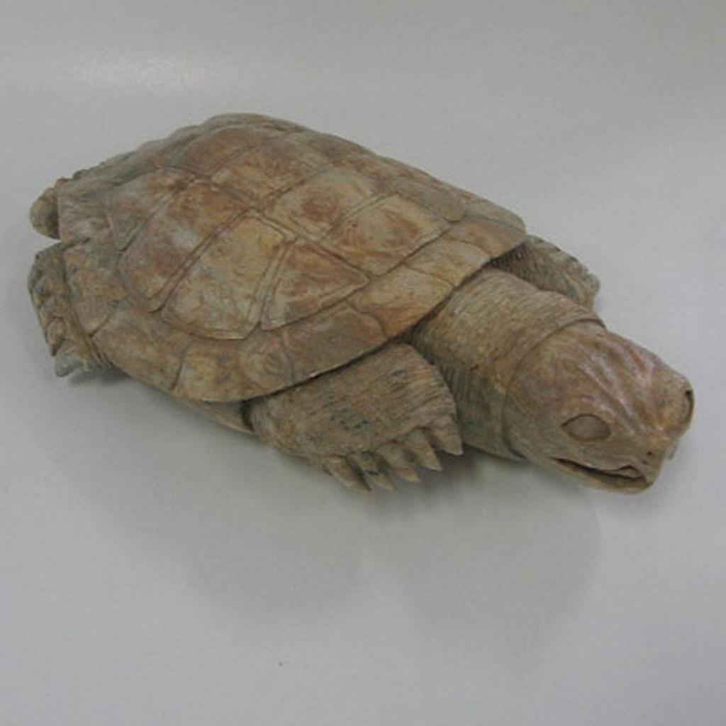 Wayne Skye - Snapping Turtle