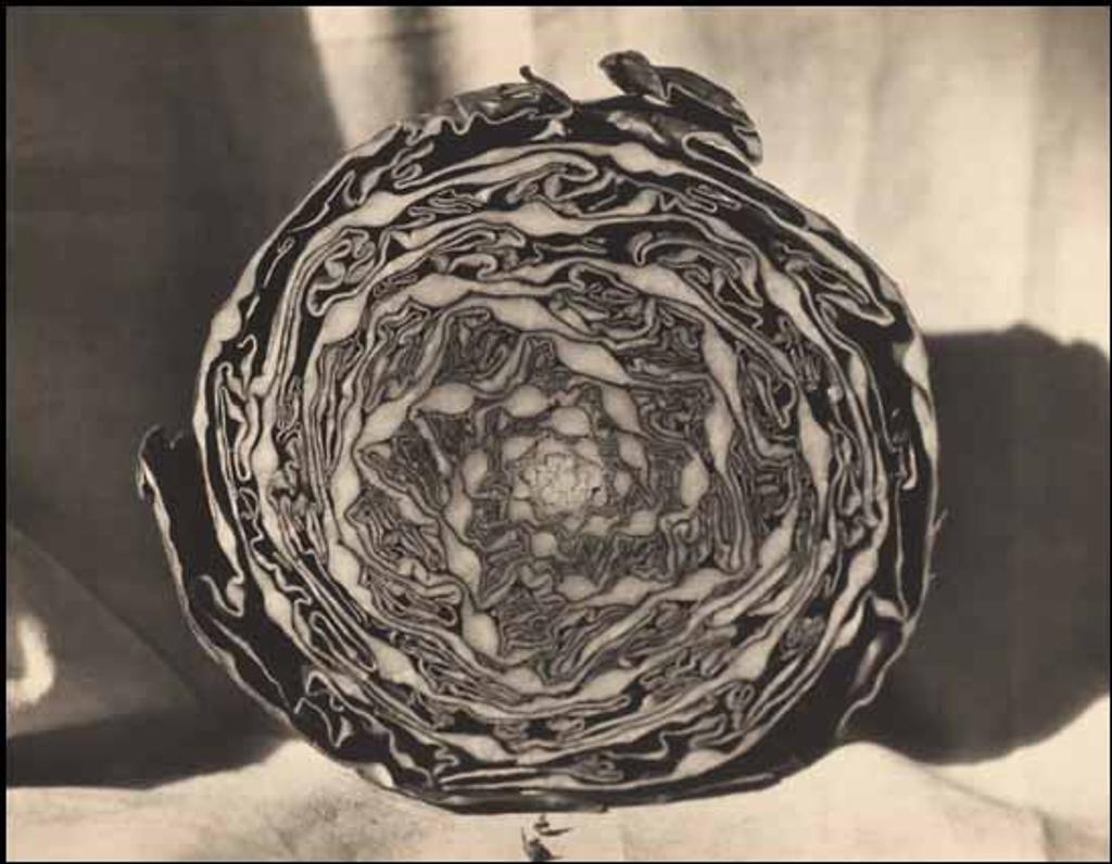 John A. Vanderpant (1884-1939) - Red Cabbage