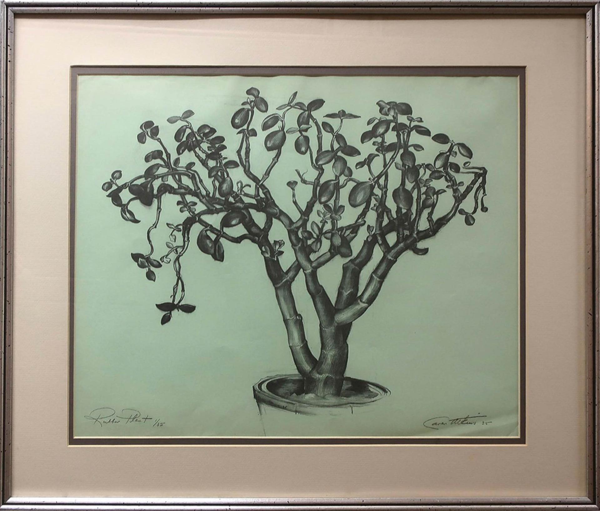 Ernest Caven Atkins (1907-2000) - Rubber Plant