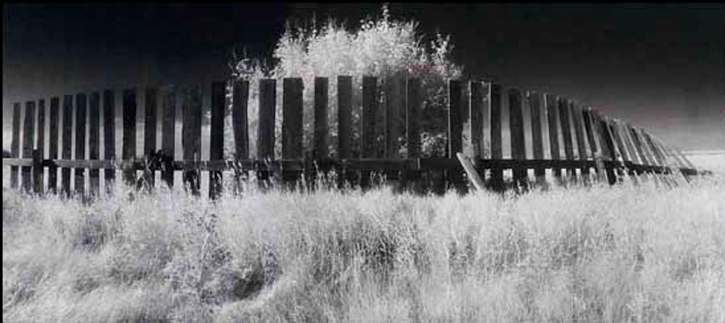 Donald Dunsmore (1941) - Snow Fence (02189/2013-1396)
