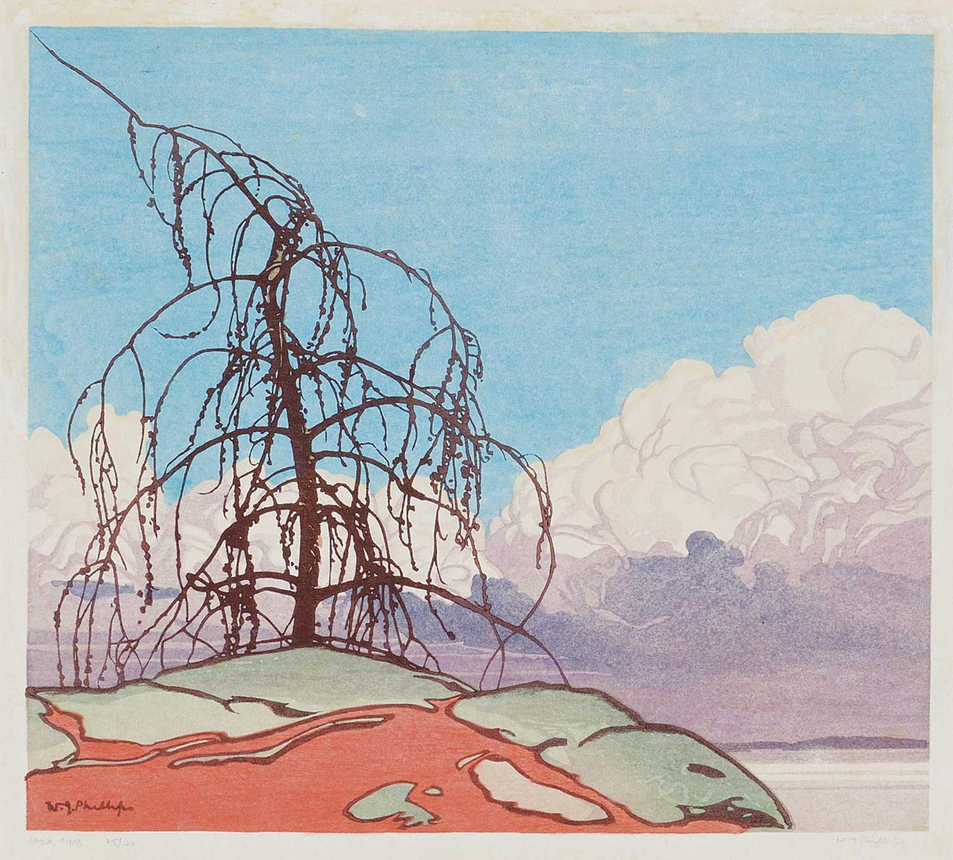 Walter Joseph (W.J.) Phillips (1884-1963) - Jack Pine #25/100