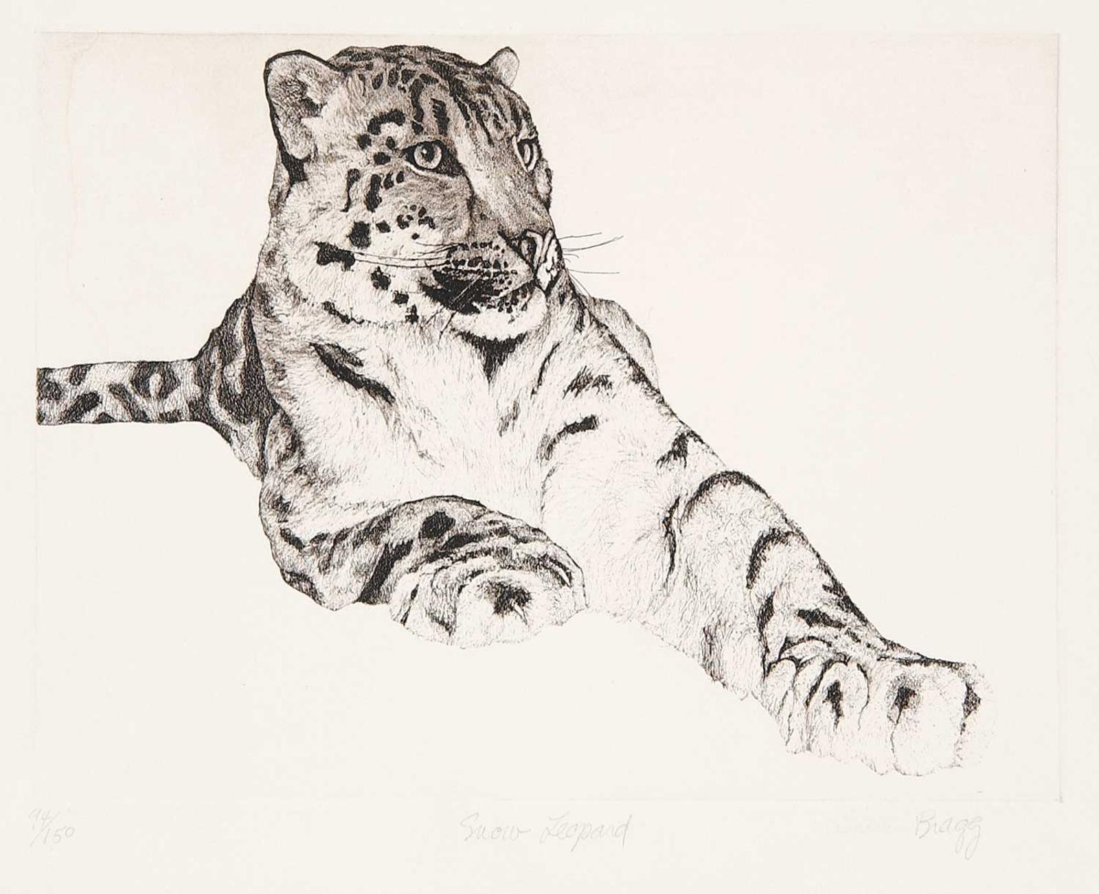 Atributted Charles Bragg - Snow Leopard #94/150