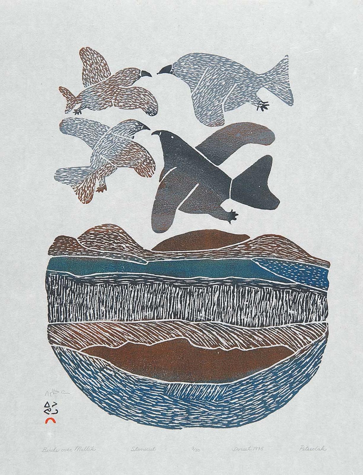 Ashoona - Birds Over Makkil  #3/50