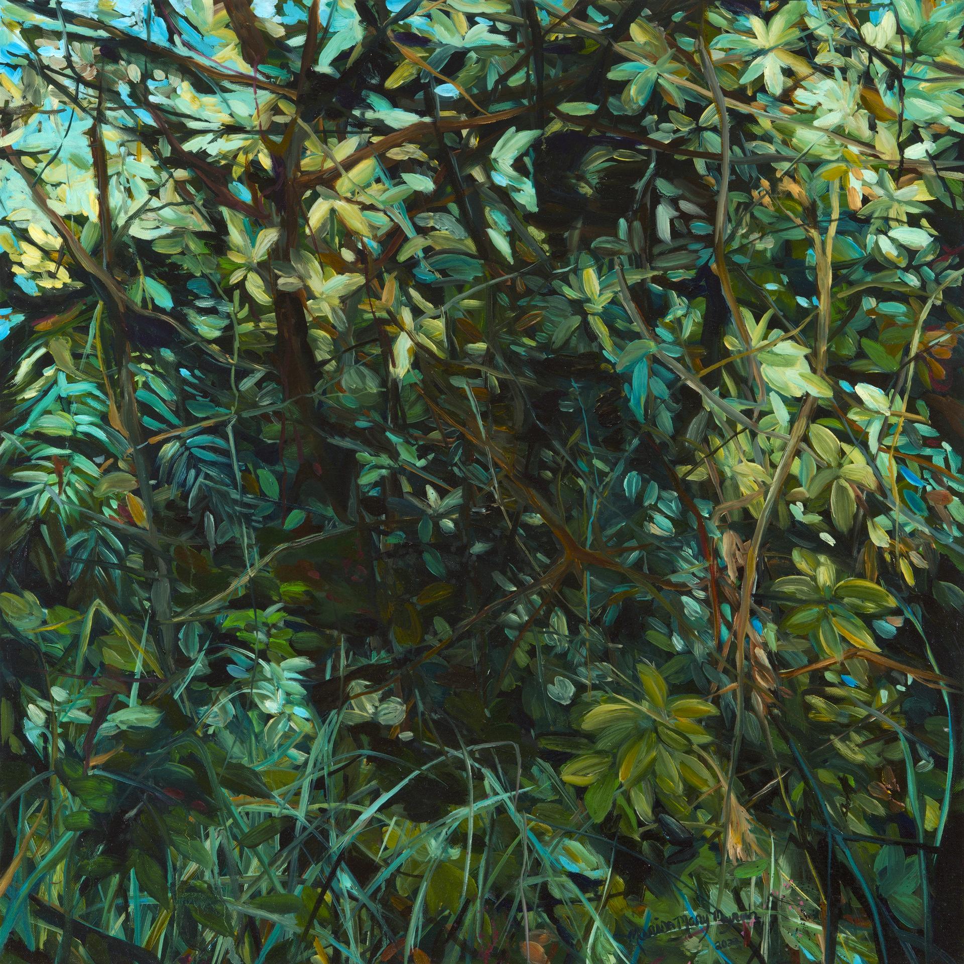 Marisa Mary Myrah - Passage To A Clearing
