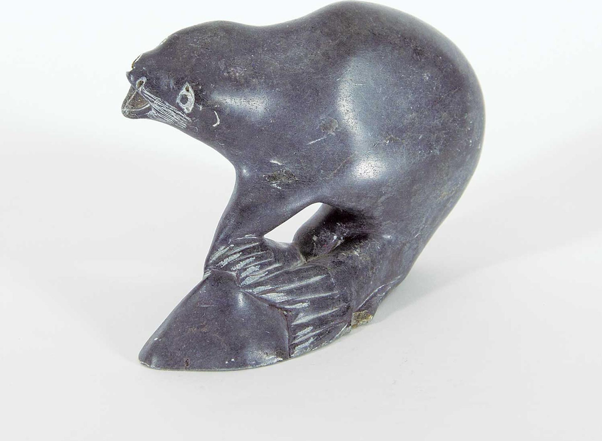Sailasie - Untitled - Barking Seals