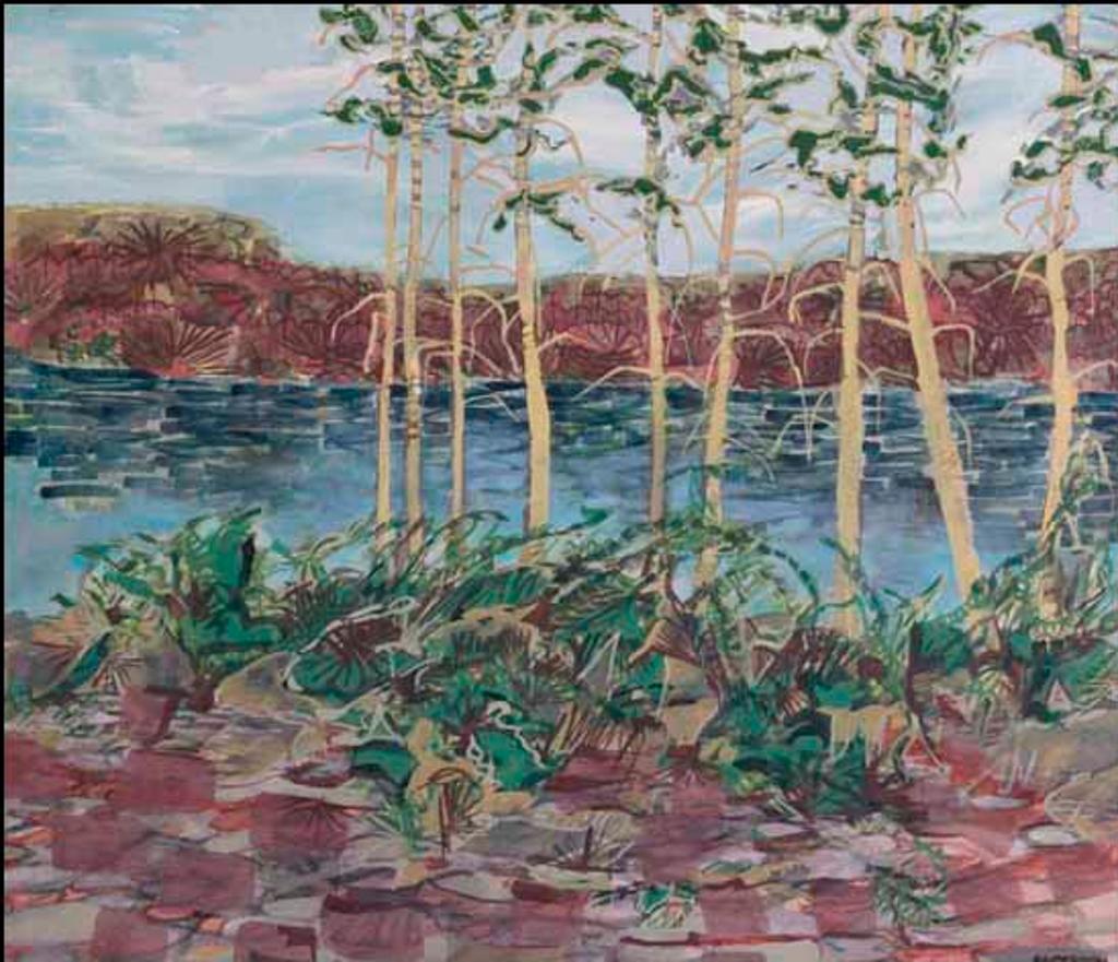 David John L. Anderson - Poacher's Inlet (02732/2013-1639)
