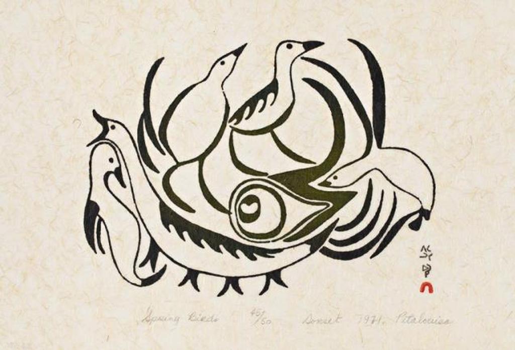 Pitaloosie Saila (1942-2021) - Untitled