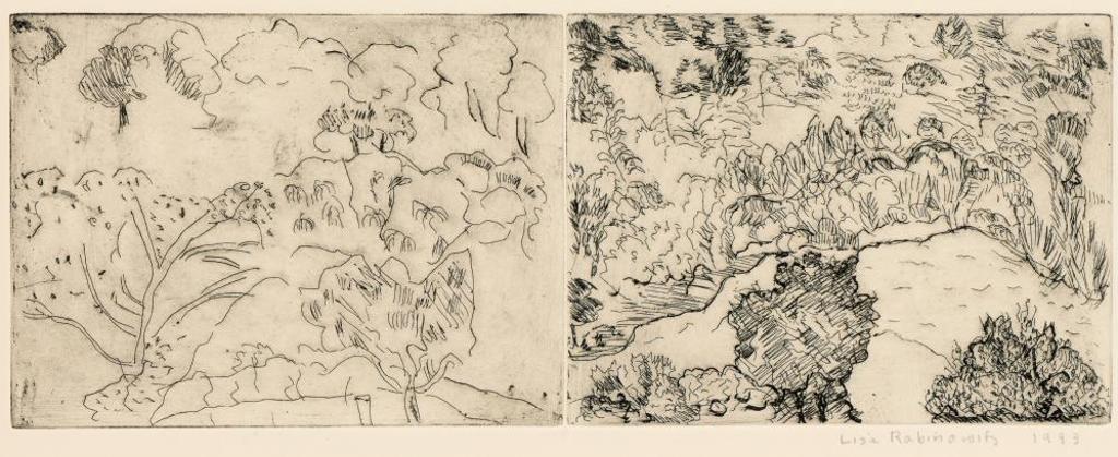 Lisa Rabinowitz - Untitled - River