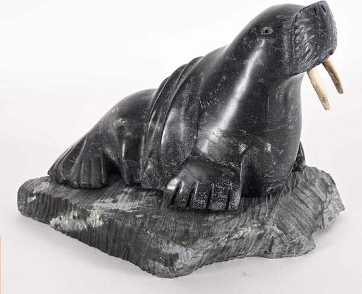 Ashevak Putuguk - Walrus