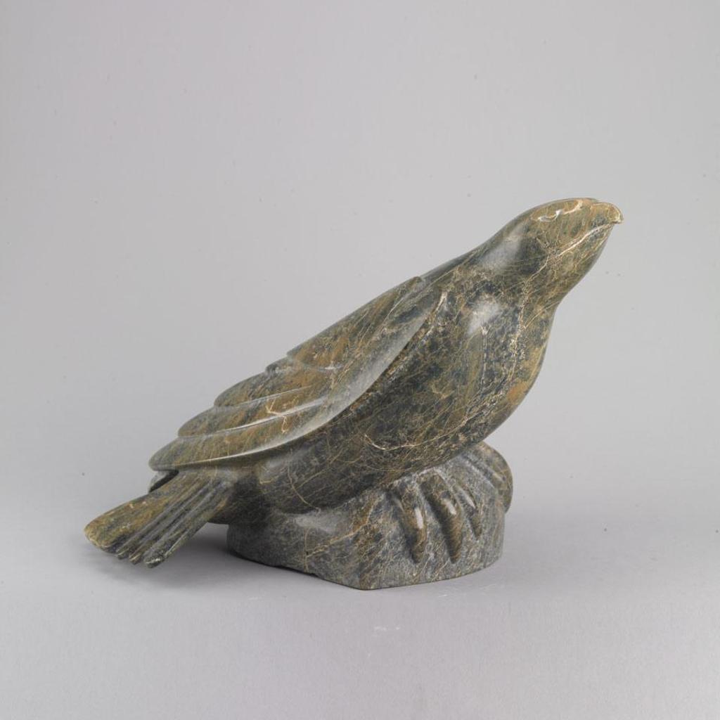 Oviloo Tunnillie (1949-2014) - Falcon
