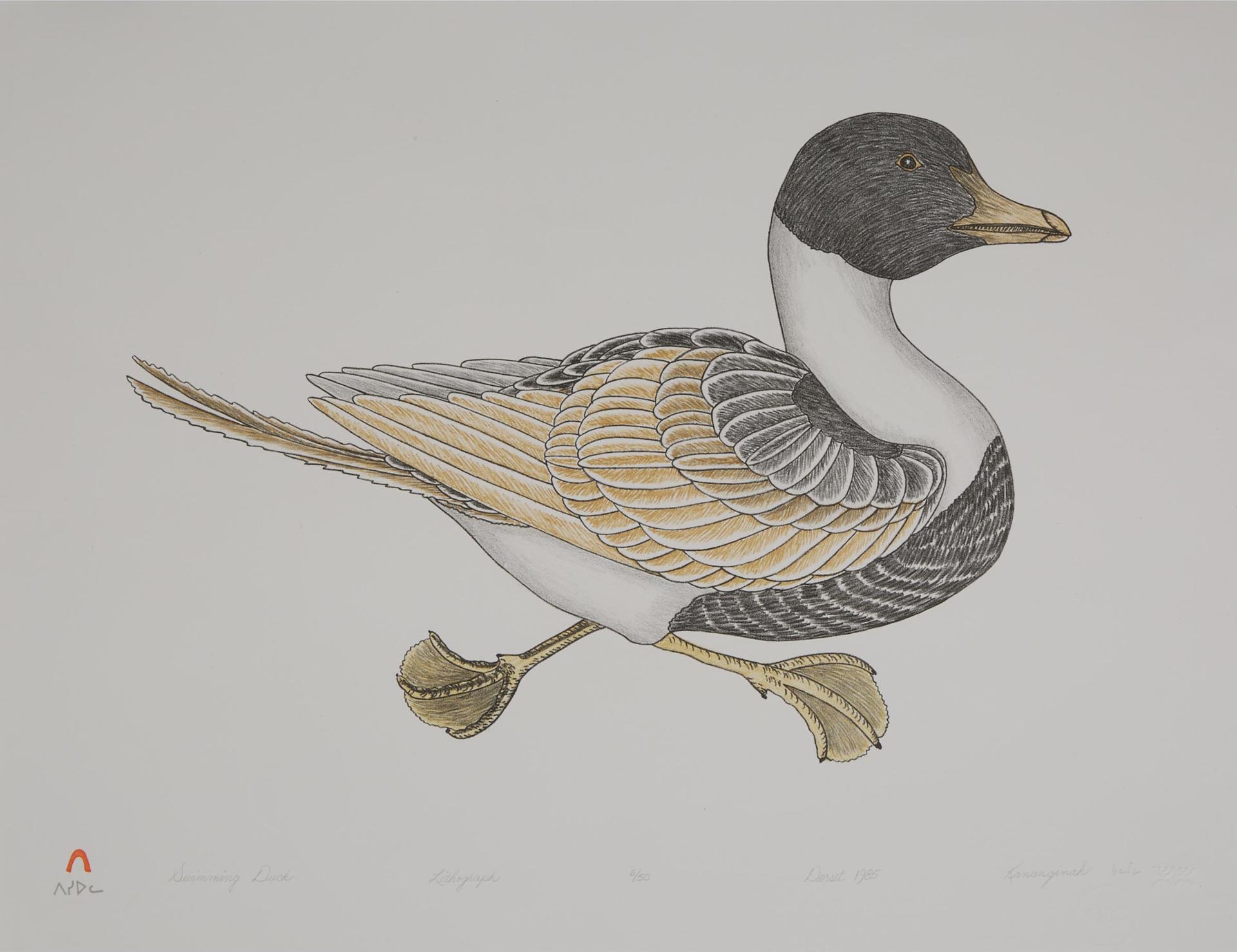 Kananginak Pootoogook (1935-2010) - Swimming Duck