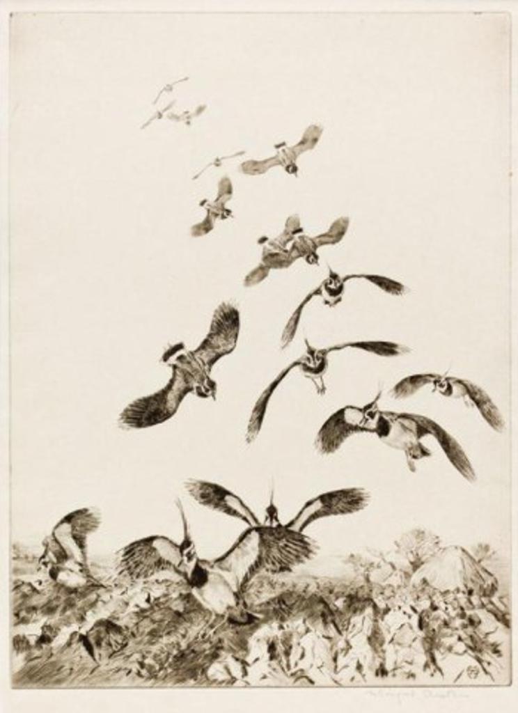 Winifred Marie Austen (1876-1964) - Lapwings
