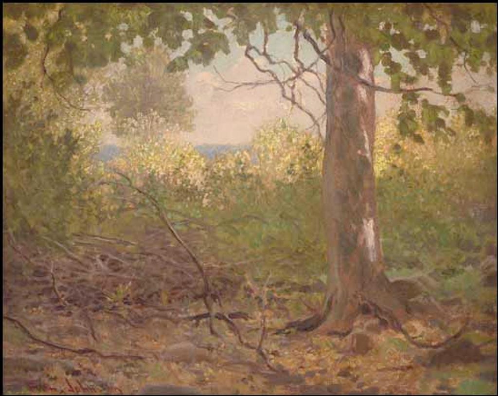 Frank (Franz) Hans Johnston (1888-1949) - October Beech