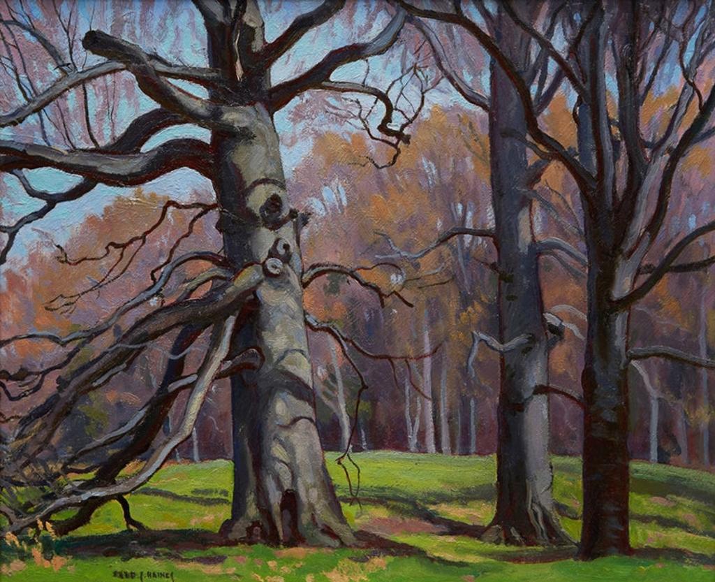 Frederick Stanley Haines (1879-1960) - Beeches, Spring