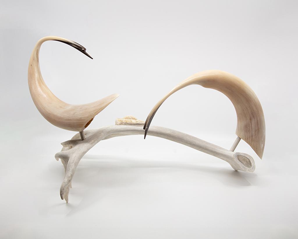 Jim H. Raddi - Muskox Horn Snow Geese