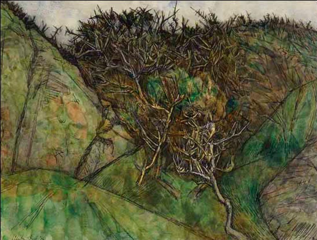 Alistair Macready Bell (1913-1997) - Gorse on Hillside (02608/2013-1171)