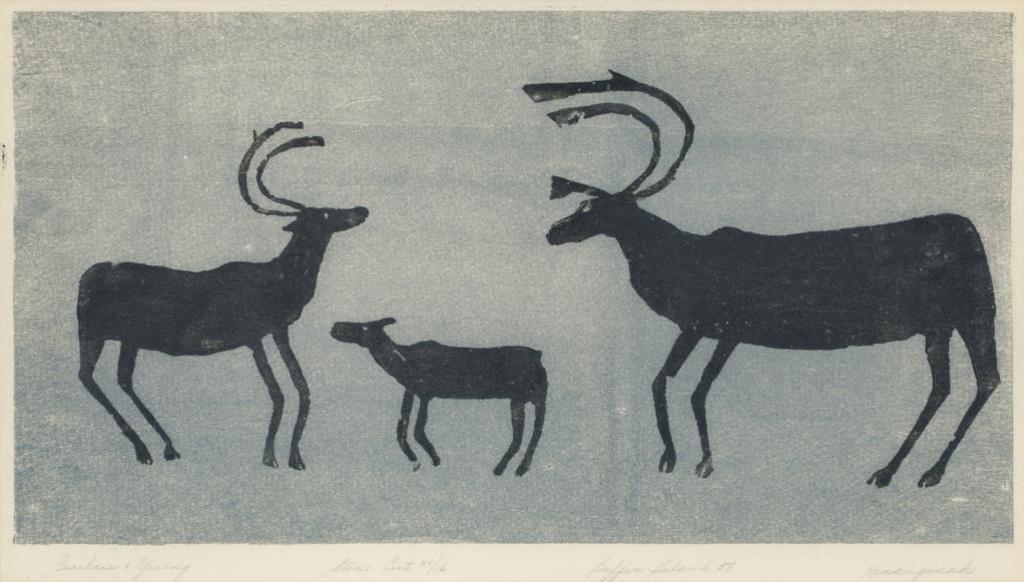 Niviaqsi (1908-1959) - Kananginak Pootoogook RCA