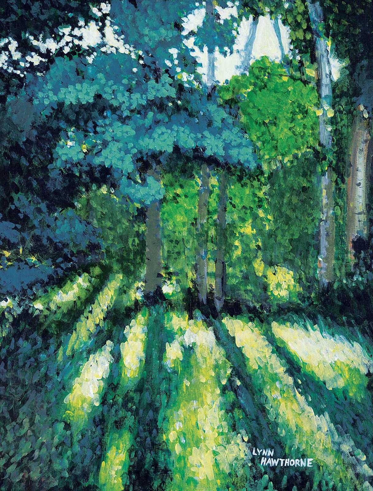 Lynn Hawthorne - Through the Poplars