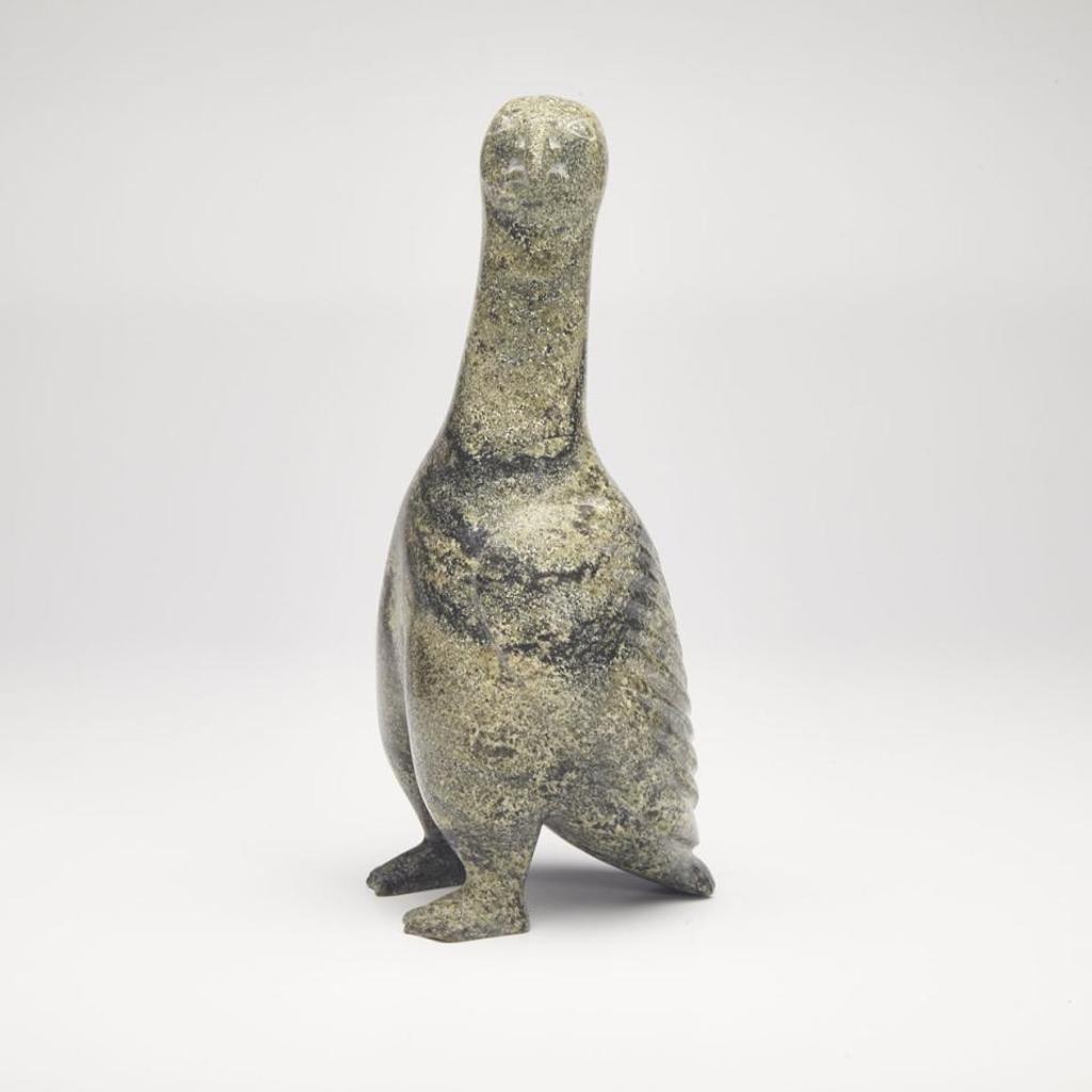 Pudlalik Shaa (1965) - Curious Bird