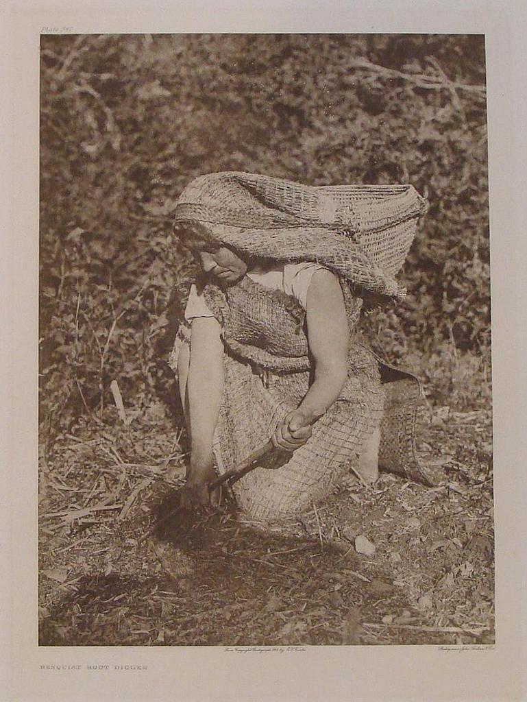 Edward Sherrif Curtis (1868-1952) - Hesquiat Root Digger