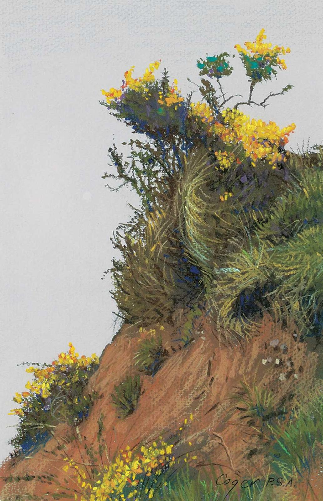 Carl Codger - Broom Near Dallas