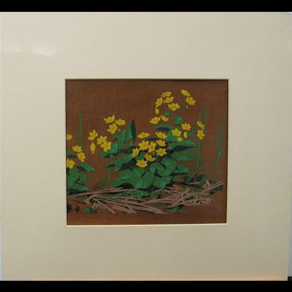 Alfred Joseph (A.J.) Casson (1898-1992) - Buttercups