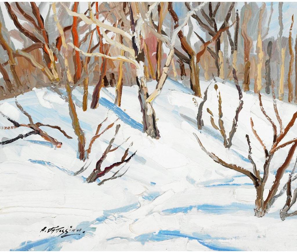 Armand Tatossian (1948-2012) - Ombre Et Lumiere, Sur Le Bouleau