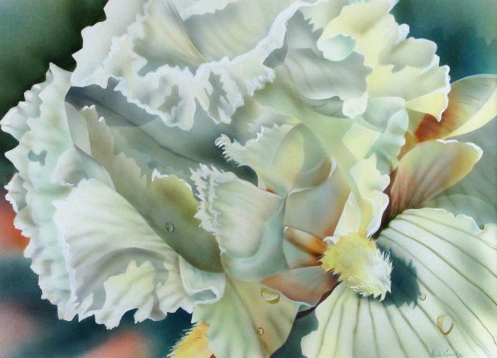 Maria Crossley - IRIS; 1991