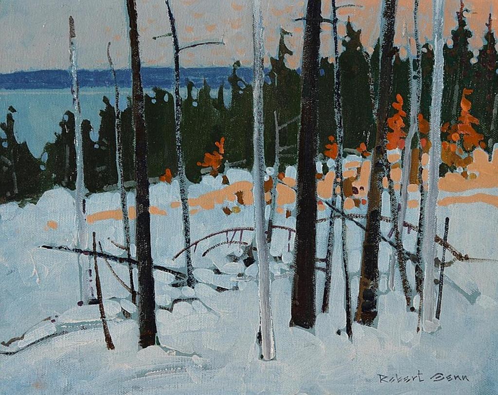 Robert Douglas Genn (1936-2014) - Last Light