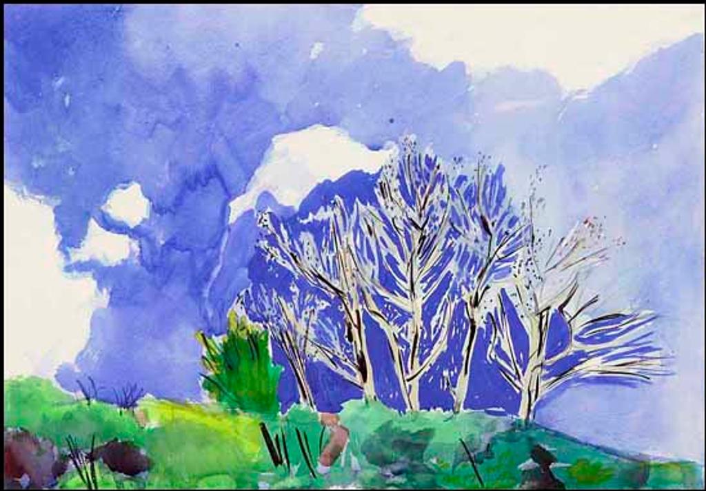 Barbara Ballachey (1949) - Summer Sky (00976/2013-1853)