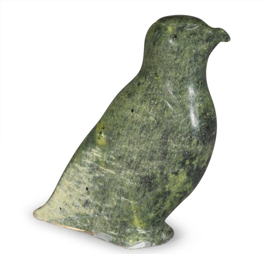 Nuluapik - Bird