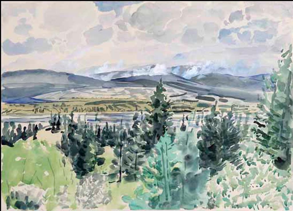 Rebecca Perehudoff (1953) - BC Forest Fire, Windemere (02066/2013-906)